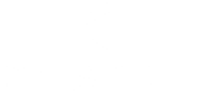 Catapult